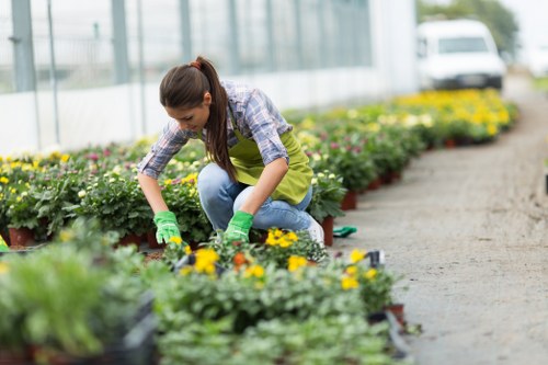 Gardener working in a small Cricklewood terraced garden