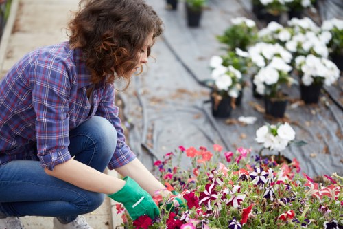 Front yard garden with tools and a gardener preparing beds