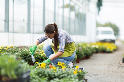 A woman crouching in a garden bed during daytime, tending to colorful flowering plants with yellow, pink, and purple blooms, in a well-maintained outdoor space with a paved pathway in the foreground and a greenhouse structure with glass panels in the background. She is wearing a casual plaid shirt, blue jeans, and green gardening gloves, and is using a small hand trowel to carefully work among the plants. The garden features a mix of flowering borders and lush green foliage, with natural sunlight illuminating the scene. This setting suggests routine garden maintenance or planting activity typical of professional gardening services in the Cricklewood area, contributing to a vibrant and tidy outdoor environment near local residential or commercial properties.