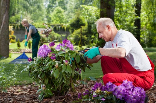 Lush green garden with various plants and flowers