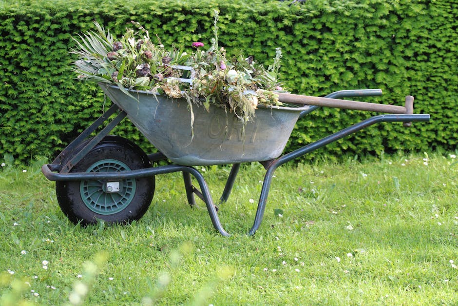 A silver metal wheelbarrow filled with a variety of garden waste, including wilted flowers, dried leaves, and plant cuttings, resting on a lush green lawn. The wheelbarrow has black handles and a stur