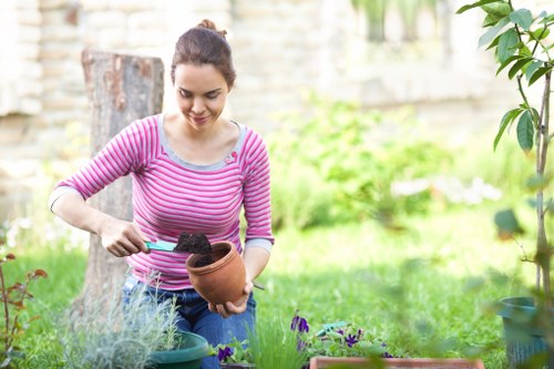 Professional gardener maintaining a Cricklewood garden